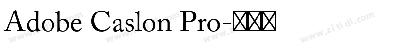 Adobe Caslon Pro字体转换